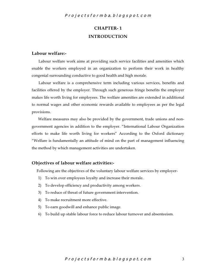 labour welfare facilities project pdf